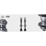 TUBELESS VENTIL PEATY'S MK2 42MM SIVA